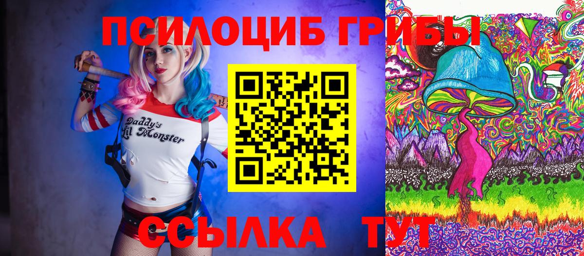 Галлюциногенные грибы Psilocybe Похвистнево